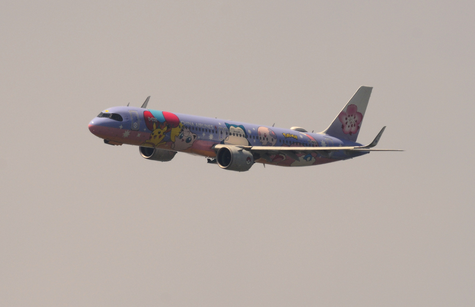 AIR CHINA AIRBUS A321パンダ塗装機 中国国際航空(エア チャイナ) 機材一覧 運用中 エアバスA321