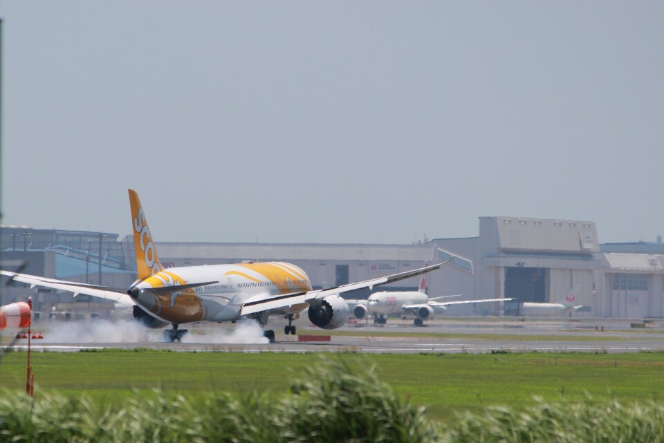 スクート Boeing 787-9 9V-OJA 成田国際空港 航空フォト | by
