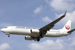 Fly Yokotayaさんが、伊丹空港で撮影した日本航空 737-846の航空フォト（飛行機 写真・画像）