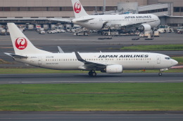 koei5000さんが、羽田空港で撮影した日本航空 737-846の航空フォト（飛行機 写真・画像）