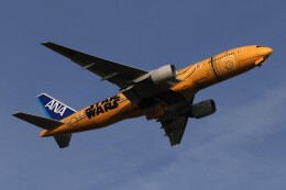 C-3PO ANA JET」特別塗装機 全日空 (777-200 | JA743A) ガイド