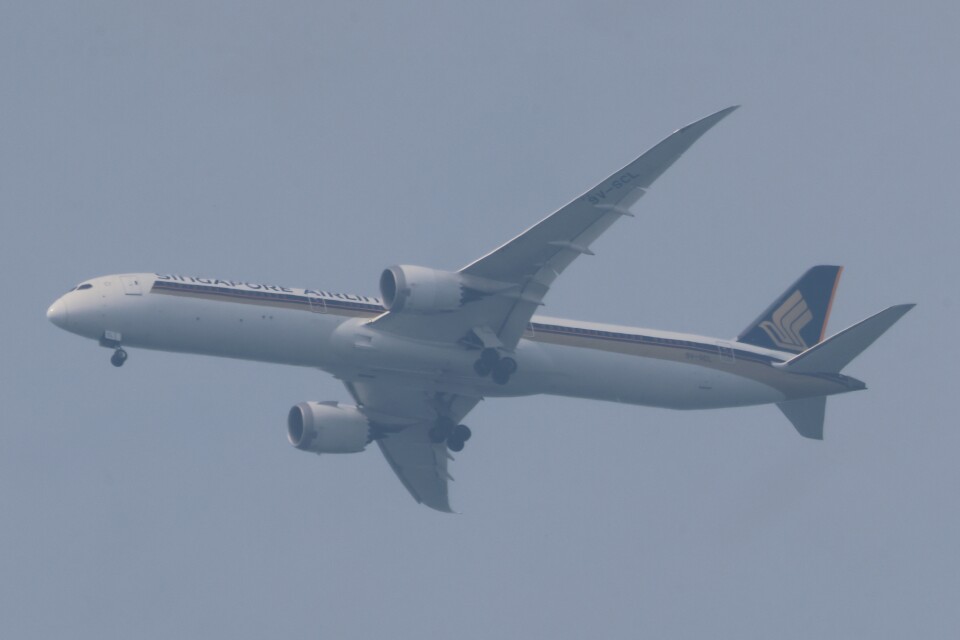 照明 ボーイング787 飛行機 鶴 電飾スタンド 看板 キャスター付 ネオン 照明 ボーイング787 飛行機 鶴 電飾スタンド 看板 キャスター付