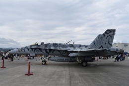 きっしーさんが、岩国空港で撮影したアメリカ海兵隊 F/A-18C Hornetの航空フォト（飛行機 写真・画像）