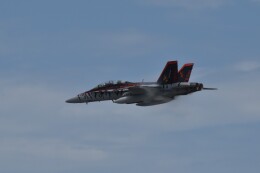 きっしーさんが、岩国空港で撮影したアメリカ海兵隊 F/A-18D Hornetの航空フォト（飛行機 写真・画像）