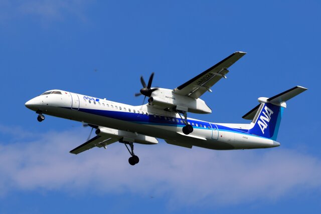 かゃみいさんが、鹿児島空港で撮影したANAウイングス DHC-8-402Q Dash 8の航空フォト（飛行機 写真・画像）