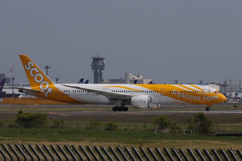航空機・ヘリコプター FLY Scoot BOEING787-9  9V-OJA 1:250 スクート Boeing 787-9 9V-OJA 成田国際空港 航空フォト | by