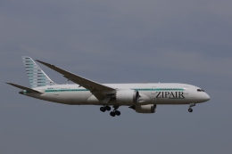 OS52さんが、成田国際空港で撮影したジップエア 787-8 Dreamlinerの航空フォト（飛行機 写真・画像）