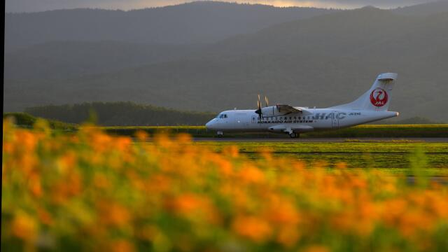 旭川空港 - Asahikawa Airport [AKJ/RJEC]で撮影された旭川空港 - Asahikawa Airport [AKJ/RJEC]の航空機写真(フォト・画像)