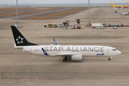⚡️Wingzさんが、中部国際空港で撮影した全日空 737-881の航空フォト（飛行機 写真・画像）