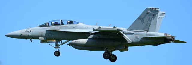 オカリンさんが、嘉手納飛行場で撮影したアメリカ海軍 EA-18G Growlerの航空フォト（飛行機 写真・画像）