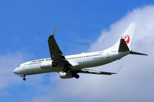 かゃみいさんが、鹿児島空港で撮影した日本航空 737-846の航空フォト（飛行機 写真・画像）