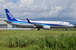 sky01さんが、佐賀空港で撮影した全日空 737-881の航空フォト（飛行機 写真・画像）