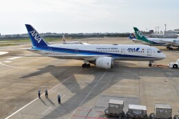 ドリームライナーです！！ ANA (全日空) 機材一覧 ボーイング787-8 ドリームライナー
