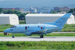michikoさんが、築城基地で撮影した航空自衛隊 U-125A(Hawker 800)の航空フォト（飛行機 写真・画像）