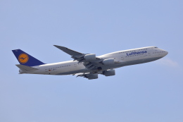 TAKA-Kさんが、羽田空港で撮影したルフトハンザドイツ航空 747-830の航空フォト（飛行機 写真・画像）