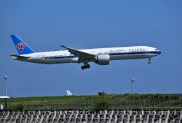 パール大山さんが、羽田空港で撮影した中国南方航空 777-31B/ERの航空フォト（飛行機 写真・画像）