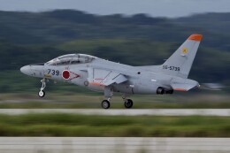 築城基地の撮影スポット「堤防」で、きつね さんが撮影した飛行機の写真です。