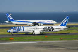 トラジマさんが、羽田空港で撮影した全日空 787-9の航空フォト（飛行機 写真・画像）