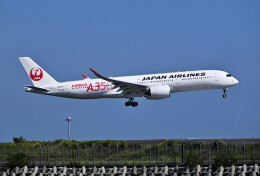 パール大山さんが、羽田空港で撮影した日本航空 A350-941の航空フォト（飛行機 写真・画像）