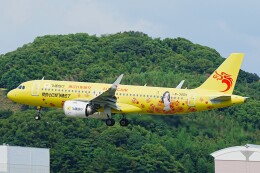 michikoさんが、福岡空港で撮影した長竜航空 A320-251Nの航空フォト（飛行機 写真・画像）