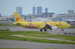 CYGNUS 様　確認用A320-neo Sky Express Airbus A320neoの評価を含むシートマップ。
