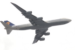 Beanさんが、羽田空港で撮影したルフトハンザドイツ航空 747-830の航空フォト（飛行機 写真・画像）