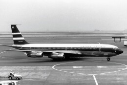 メルシーボクーさんが、羽田空港で撮影したキャセイパシフィック航空 707-351Bの航空フォト（飛行機 写真・画像）