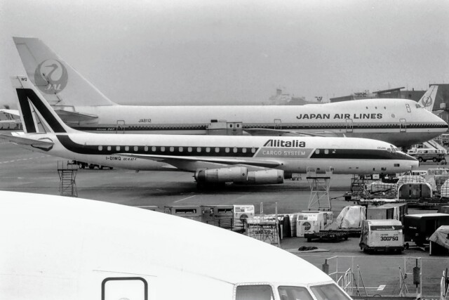 メルシーボクーさんが、羽田空港で撮影したアリタリア航空 DC-8-62CF-Hの航空フォト（飛行機 写真・画像）