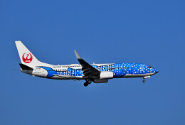 パール大山さんが、羽田空港で撮影した日本トランスオーシャン航空 737-8Q3の航空フォト（飛行機 写真・画像）