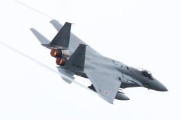 prius737さんが、松島基地で撮影した航空自衛隊 F-15J Eagleの航空フォト（飛行機 写真・画像）