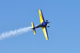 きっしーさんが、築城基地で撮影したWPコンペティション・アエロバティック・チーム EA-300Lの航空フォト（飛行機 写真・画像）