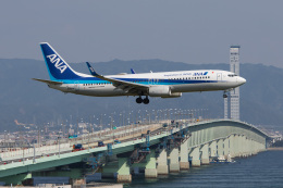 Koenig117さんが、関西国際空港で撮影した全日空 737-8ALの航空フォト（飛行機 写真・画像）