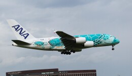 【新品】ANA エアバス A380 フライングホヌ 2号機カイ 1/500 Amazon.co.jp: 【】ANA エアバス A380 フライングホヌ 2号機カイ