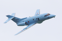 prius737さんが、松島基地で撮影した航空自衛隊 U-125A(Hawker 800)の航空フォト（飛行機 写真・画像）