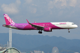 タヌキさんが、関西国際空港で撮影したピーチ A321-251NXの航空フォト（飛行機 写真・画像）
