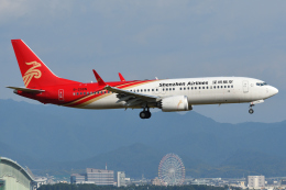 タヌキさんが、関西国際空港で撮影した深圳航空 737-8-MAXの航空フォト（飛行機 写真・画像）