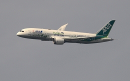 kenko.sさんが、成田国際空港で撮影した全日空 787-8 Dreamlinerの航空フォト（飛行機 写真・画像）