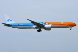 デルタおA330さんが、成田国際空港で撮影したKLMオランダ航空 777-306/ERの航空フォト（飛行機 写真・画像）