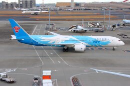 sky01さんが、羽田空港で撮影した中国南方航空 787-9の航空フォト（飛行機 写真・画像）