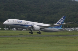 endress voyageさんが、岡山空港で撮影した全日空 787-8 Dreamlinerの航空フォト（飛行機 写真・画像）