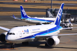 けいとパパさんが、羽田空港で撮影した全日空 787-8 Dreamlinerの航空フォト（飛行機 写真・画像）