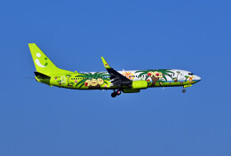 パール大山さんが、羽田空港で撮影したソラシド エア 737-86Nの航空フォト（飛行機 写真・画像）