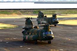 S.KAZU1210_RJBKさんが、岡南飛行場で撮影した陸上自衛隊 CH-47JAの航空フォト（飛行機 写真・画像）