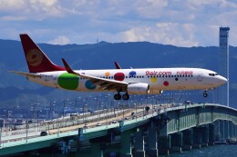 アルベルトさんが、関西国際空港で撮影した九元航空 737-86Xの航空フォト（飛行機 写真・画像）