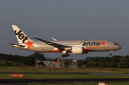 えびでんさんが、成田国際空港で撮影したジェットスター 787-8 Dreamlinerの航空フォト（飛行機 写真・画像）