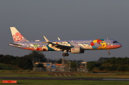 えびでんさんが、成田国際空港で撮影したチャイナエアライン A321-271NXの航空フォト（飛行機 写真・画像）