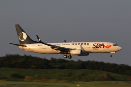 えびでんさんが、成田国際空港で撮影した山東航空 737-85N(BCF)の航空フォト（飛行機 写真・画像）