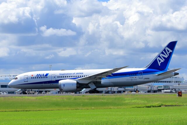 かゃみいさんが、鹿児島空港で撮影した全日空 787-8 Dreamlinerの航空フォト（飛行機 写真・画像）
