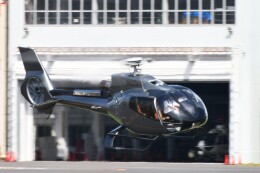 BlueStarさんが、東京ヘリポートで撮影した日本法人所有 EC130B4の航空フォト（飛行機 写真・画像）