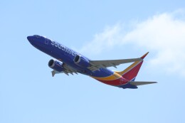 不揃いさんが、ダニエル・K・イノウエ国際空港で撮影したサウスウェスト航空 737-8-MAXの航空フォト（飛行機 写真・画像）
